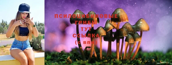 мяу мяу мука Алзамай