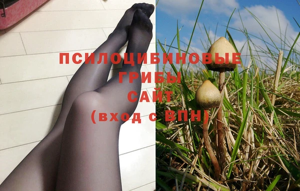 гидропоника Новозыбков