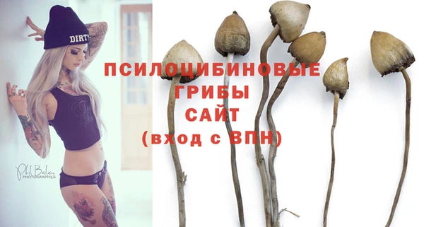 героин Алексин