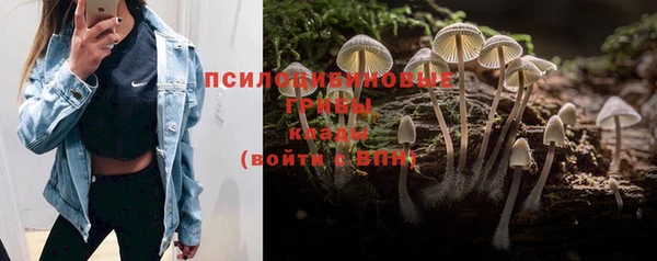 героин Алексин