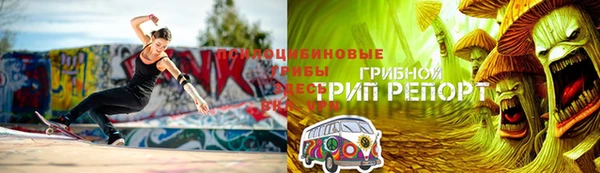 героин Алексин